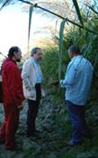 Simposio: ARREXINIS, Sardegna - Maioli sul campo con Guizzi e Corona