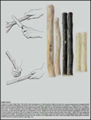 Pagina del libro L'Orchestra della Natura
