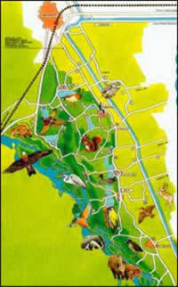 Mappa del fiume Ticino