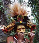 scacciapensieri Papua