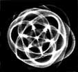 Configurazione visiva di una vibrazione sonora da Hans Jenny, Cymatics, Basel 1971