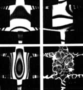 Le figure a onde stazionarie formate su una piastra sottile vibrante somigliano a disegni di un mantello. I disegni più complessi corrispondono a frequenze di vibrazione più alte. Gli esperimenti sono a opera di Charles M. Vest e Youren Xu.